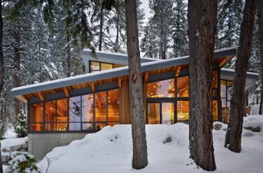 a house with trees in the snow