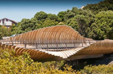 a bridge with a curved structure