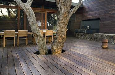 a tree growing out of a wood deck